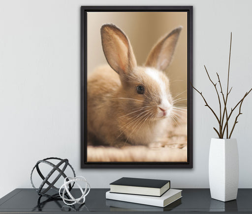 Süßes Kaninchen auf Leinwandbild gerahmt mit Kirschblüten