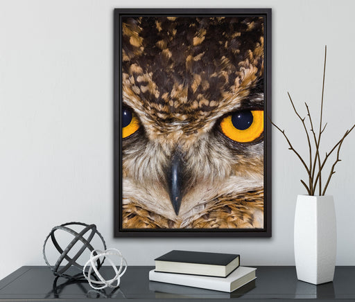 Eule mit gelben Augen auf Leinwandbild gerahmt mit Kirschblüten