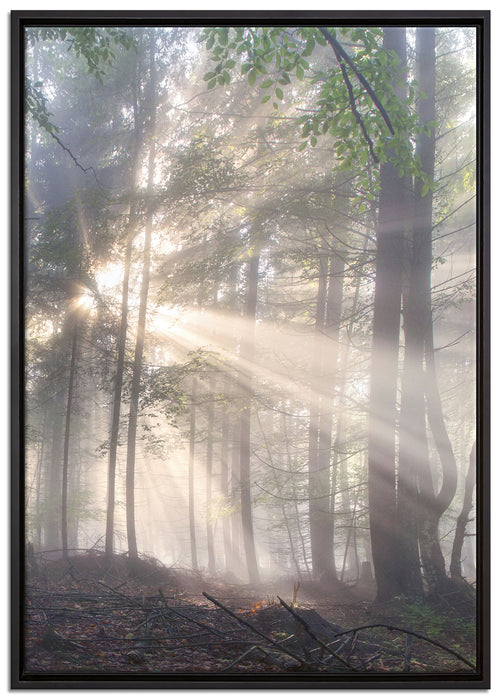diesiger Waldweg auf Leinwandbild gerahmt Größe 100x70