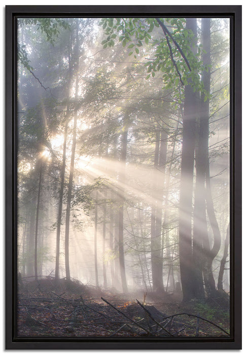 diesiger Waldweg auf Leinwandbild gerahmt Größe 60x40