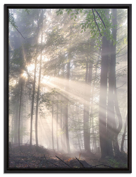 diesiger Waldweg auf Leinwandbild gerahmt Größe 80x60