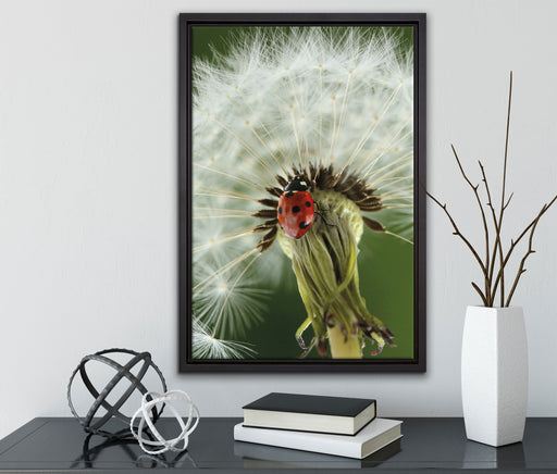 Marienkäfer auf Pusteblume auf Leinwandbild gerahmt mit Kirschblüten