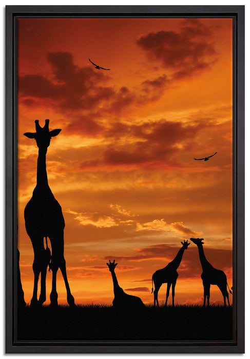 Afrika Giraffen im Sonnenuntergang auf Leinwandbild gerahmt Größe 60x40