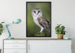 Eule auf Leinwandbild gerahmt verschiedene Größen im Wohnzimmer