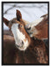 schmusende Pferde auf Leinwandbild gerahmt Größe 80x60