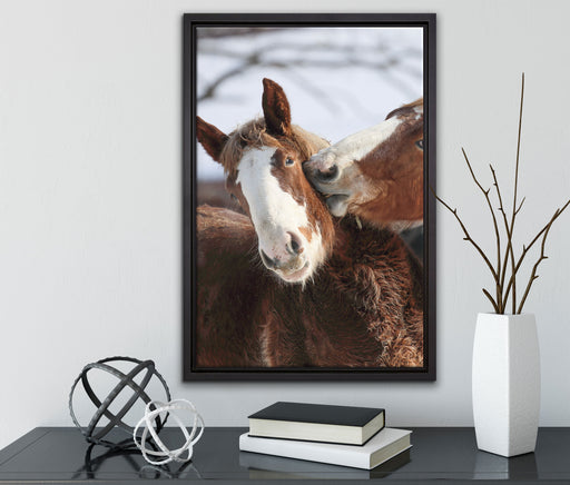 schmusende Pferde auf Leinwandbild gerahmt mit Kirschblüten