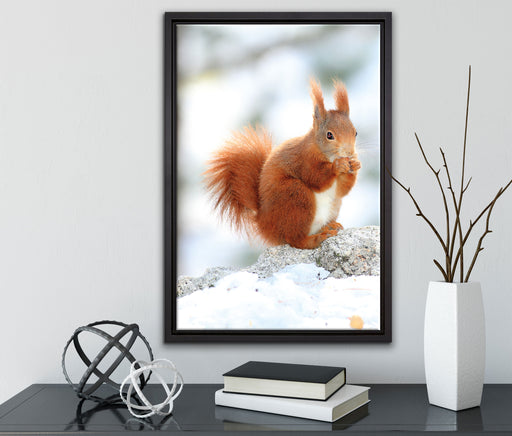 Eichhörnchen im Schnee auf Leinwandbild gerahmt mit Kirschblüten
