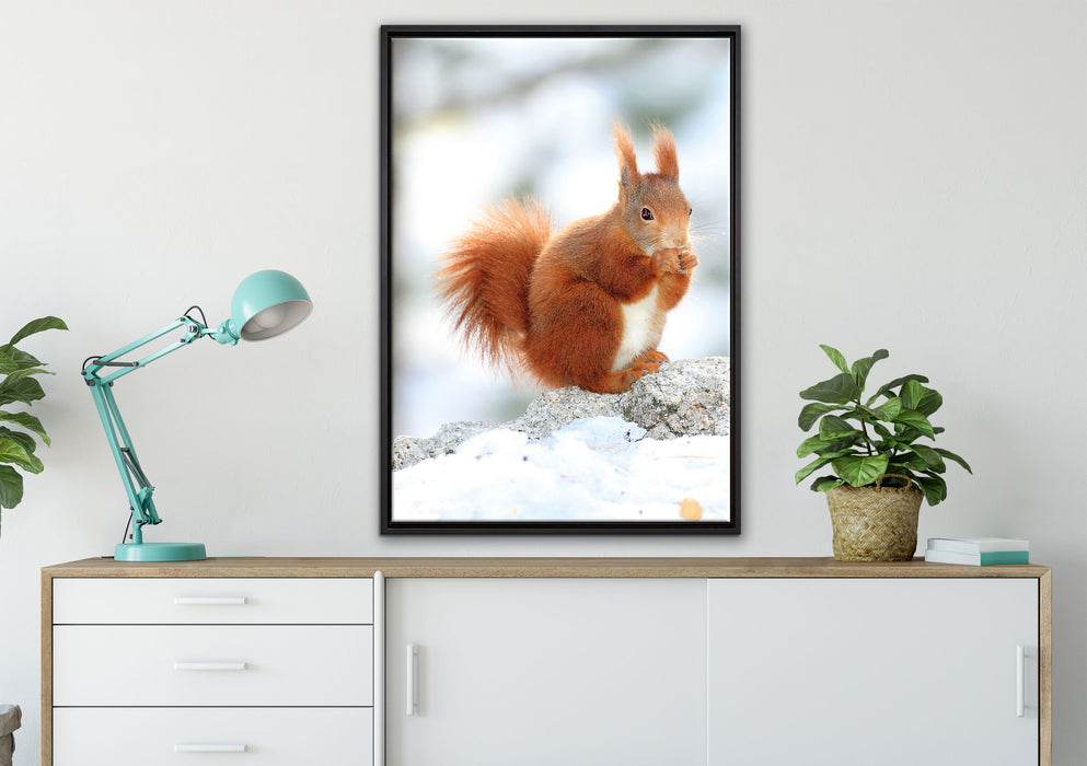 Eichhörnchen im Schnee auf Leinwandbild gerahmt verschiedene Größen im Wohnzimmer