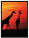 Afrika Giraffen im Sonnenuntergang auf Leinwandbild gerahmt Größe 80x60