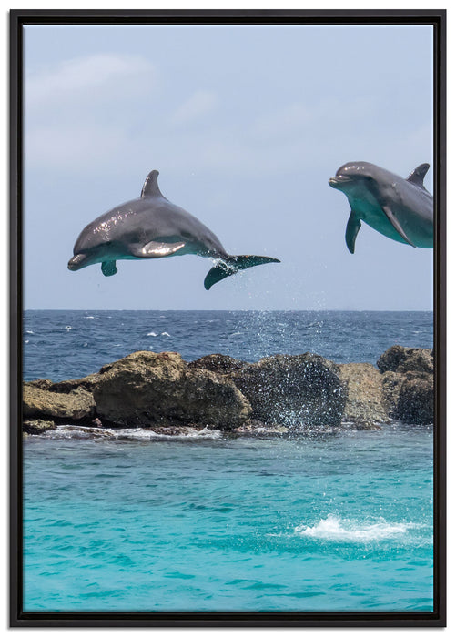 springende Delphine auf Leinwandbild gerahmt Größe 100x70