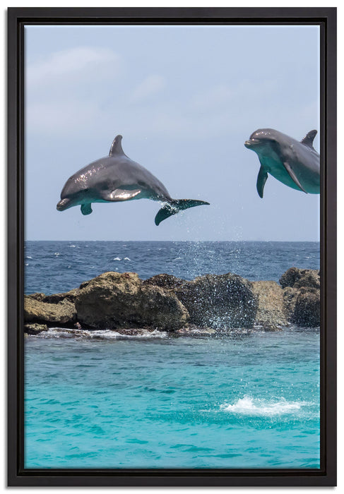 springende Delphine auf Leinwandbild gerahmt Größe 60x40