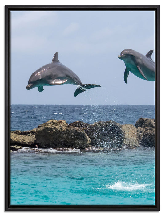 springende Delphine auf Leinwandbild gerahmt Größe 80x60