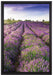 Lavendelfeld Provence auf Leinwandbild gerahmt Größe 60x40
