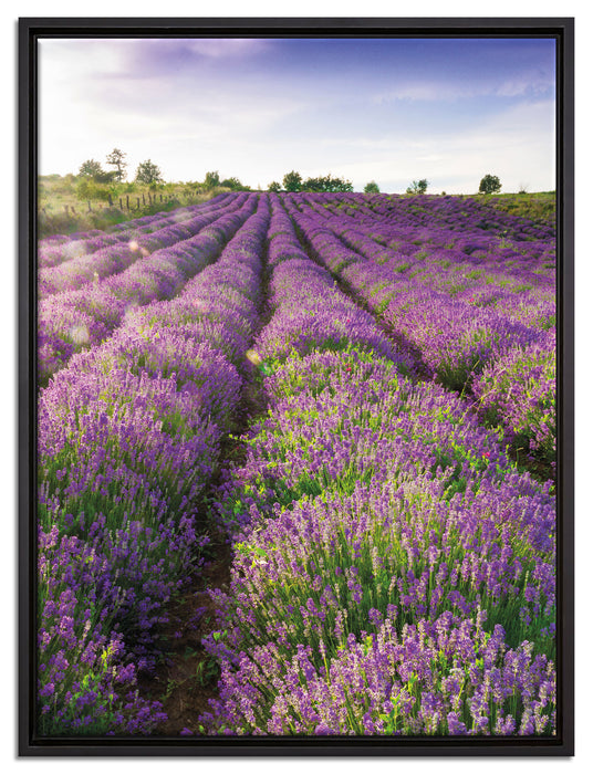 Lavendelfeld Provence auf Leinwandbild gerahmt Größe 80x60