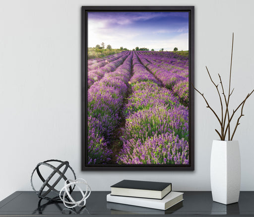 Lavendelfeld Provence auf Leinwandbild gerahmt mit Kirschblüten