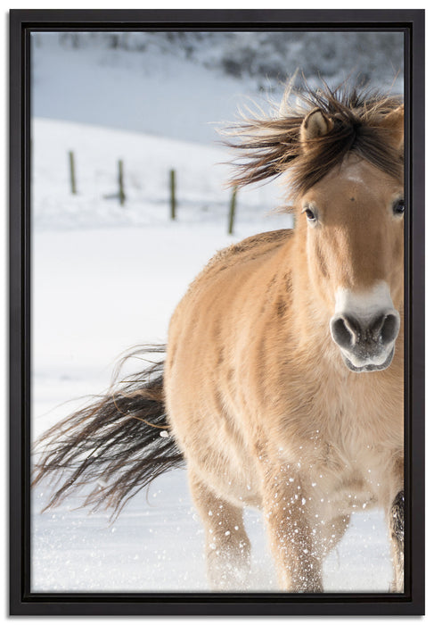 Pferd im Schnee auf Leinwandbild gerahmt Größe 60x40