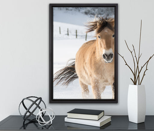 Pferd im Schnee auf Leinwandbild gerahmt mit Kirschblüten