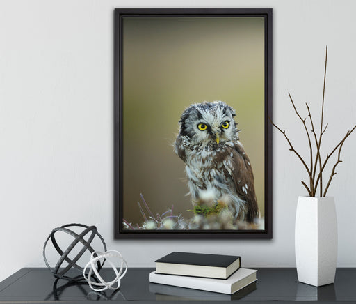 Kauz bestaunt Blatt auf Leinwandbild gerahmt mit Kirschblüten