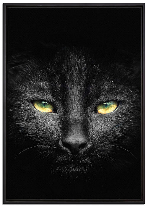 Dark schwarzes Katzengesicht auf Leinwandbild gerahmt Größe 100x70