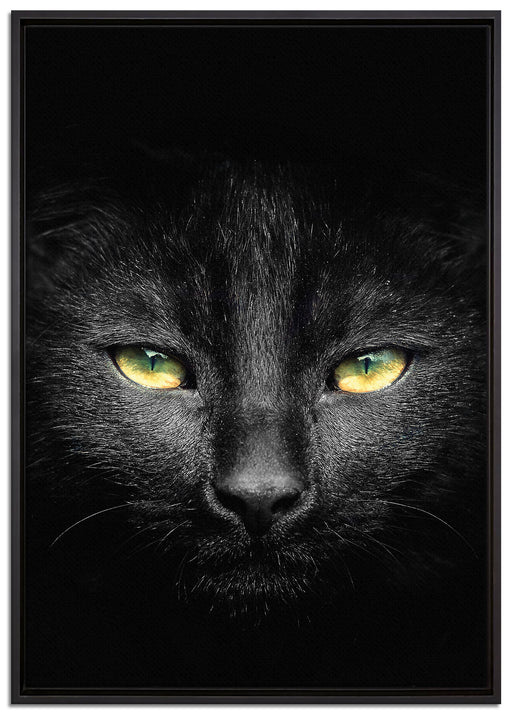 Dark schwarzes Katzengesicht auf Leinwandbild gerahmt Größe 100x70