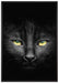 Dark schwarzes Katzengesicht auf Leinwandbild gerahmt Größe 100x70