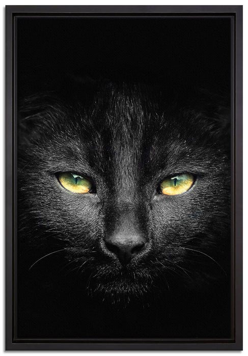 Dark schwarzes Katzengesicht auf Leinwandbild gerahmt Größe 60x40