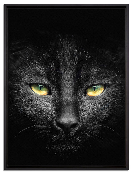 Dark schwarzes Katzengesicht auf Leinwandbild gerahmt Größe 80x60
