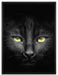 Dark schwarzes Katzengesicht auf Leinwandbild gerahmt Größe 80x60