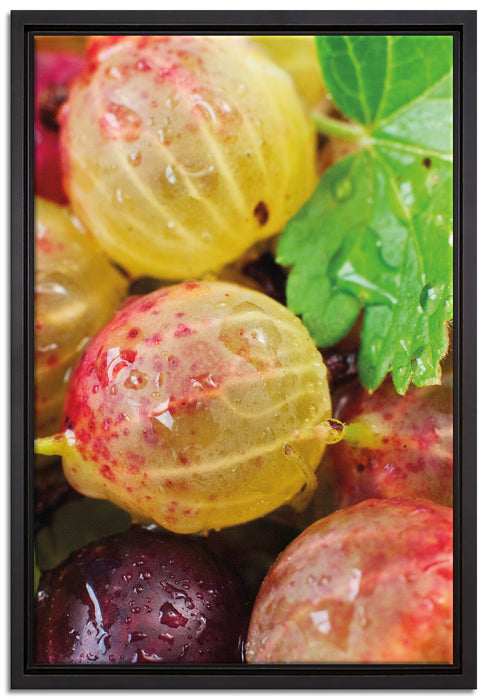 Leckere Stachelbeeren auf Leinwandbild gerahmt Größe 60x40