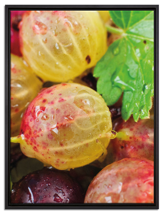 Leckere Stachelbeeren auf Leinwandbild gerahmt Größe 80x60