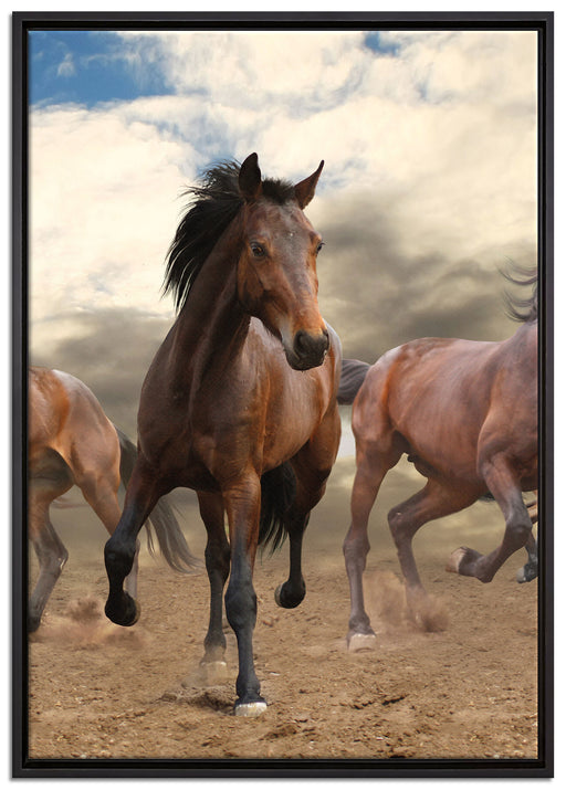 Western Pferde Cowboy auf Leinwandbild gerahmt Größe 100x70