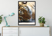 Tiger schläft auf Leinwandbild gerahmt verschiedene Größen im Wohnzimmer