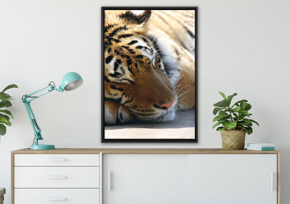 Tiger schläft auf Leinwandbild gerahmt verschiedene Größen im Wohnzimmer