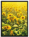 Sonnenblumenfeld auf Leinwandbild gerahmt Größe 80x60