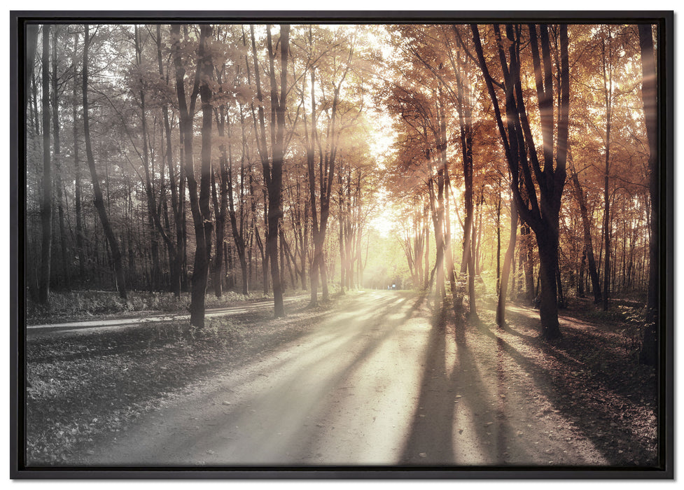 Allee im Herbstlicht auf Leinwandbild gerahmt Größe 100x70