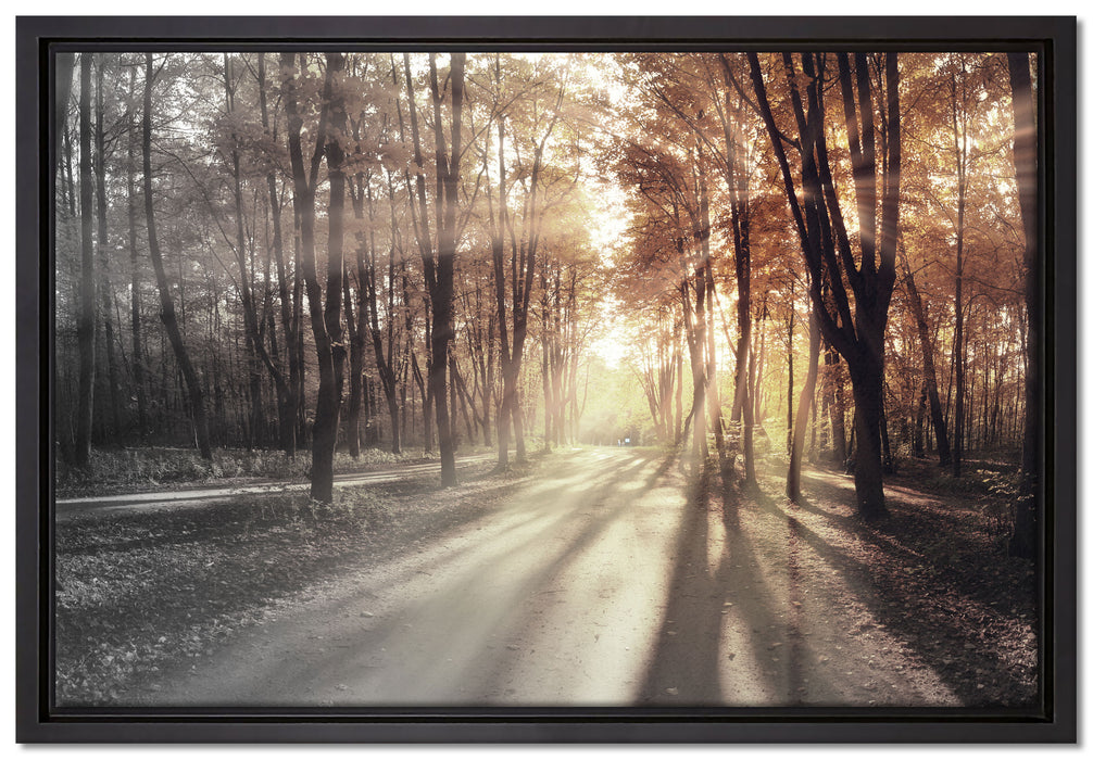 Allee im Herbstlicht auf Leinwandbild gerahmt Größe 60x40