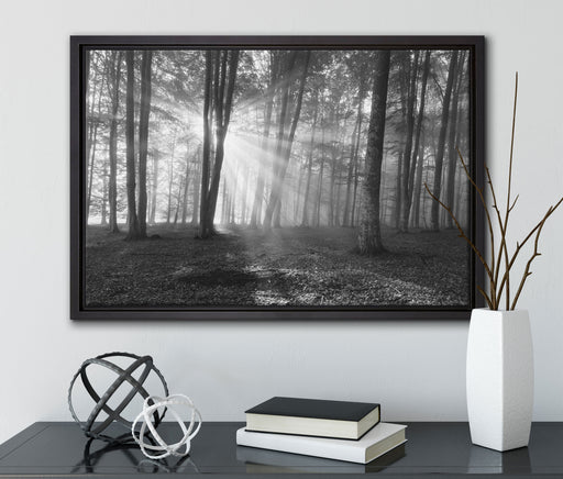 Wald mit Sonnenstrahlen auf Leinwandbild gerahmt mit Kirschblüten