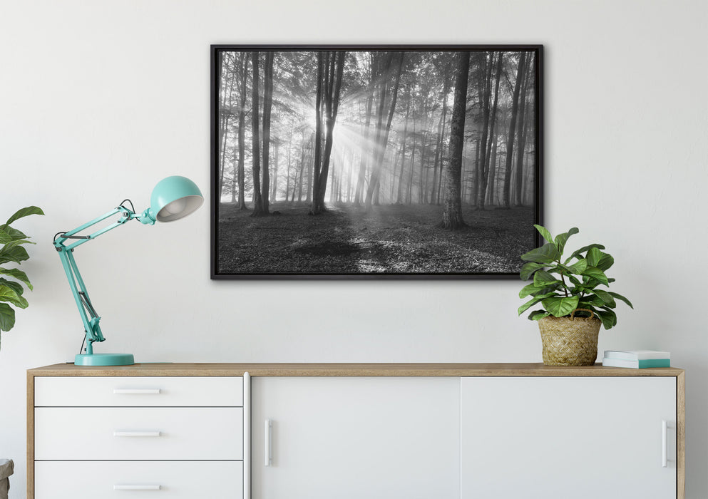 Wald mit Sonnenstrahlen auf Leinwandbild gerahmt verschiedene Größen im Wohnzimmer