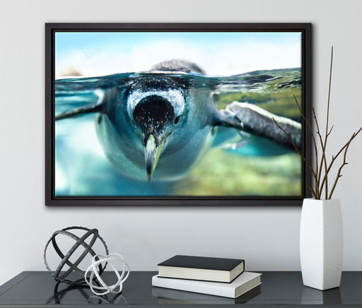 Pinguin im Wasser auf Leinwandbild gerahmt mit Kirschblüten