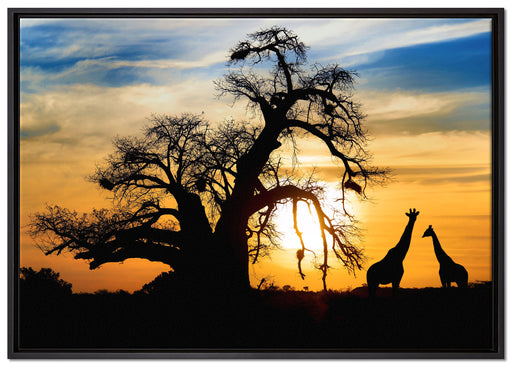 Zwei Giraffen in der Wüste auf Leinwandbild gerahmt Größe 100x70