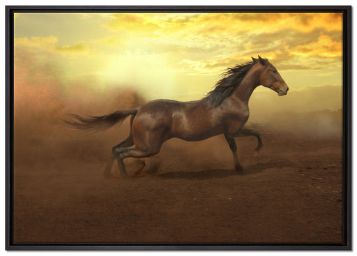 Rennendes Wildpferd auf Leinwandbild gerahmt Größe 100x70