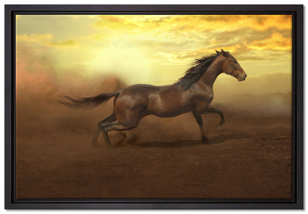 Rennendes Wildpferd auf Leinwandbild gerahmt Größe 60x40