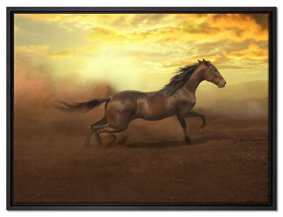 Rennendes Wildpferd auf Leinwandbild gerahmt Größe 80x60