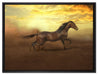 Rennendes Wildpferd auf Leinwandbild gerahmt Größe 80x60