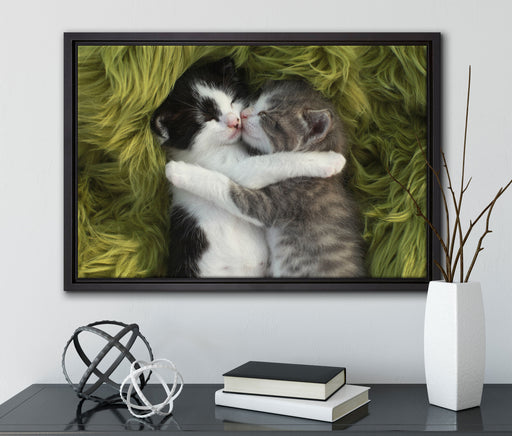 Zwei kuschelnde Kätzchen auf Leinwandbild gerahmt mit Kirschblüten