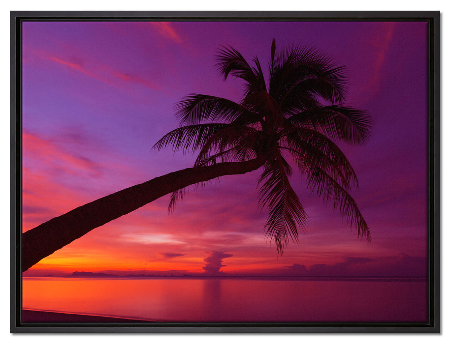 Palme am Meer mit Sonnenuntergang auf Leinwandbild gerahmt Größe 80x60