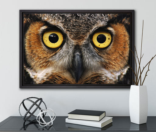 Aufgeweckter Uhu auf Leinwandbild gerahmt mit Kirschblüten