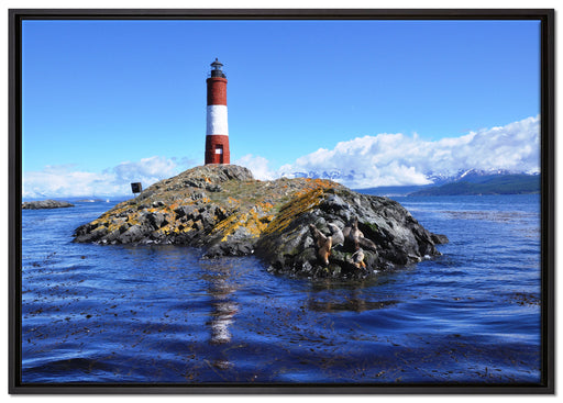 Leuchtturm mit Robben auf Leinwandbild gerahmt Größe 100x70