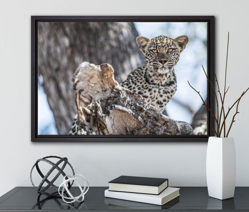 Leopardjunges auf Baum auf Leinwandbild gerahmt mit Kirschblüten