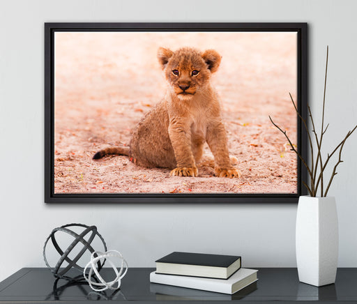 Verlassenes Löwenbaby auf Leinwandbild gerahmt mit Kirschblüten